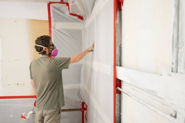 Best Mold Remediation for Healthcare Facilities  in Star, NC