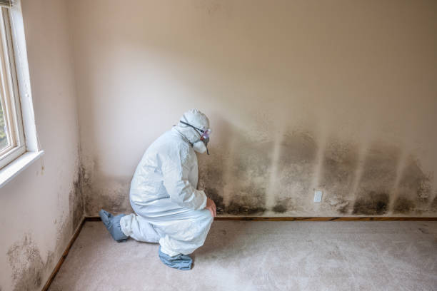 Best Industrial Mold Remediation  in Star, NC